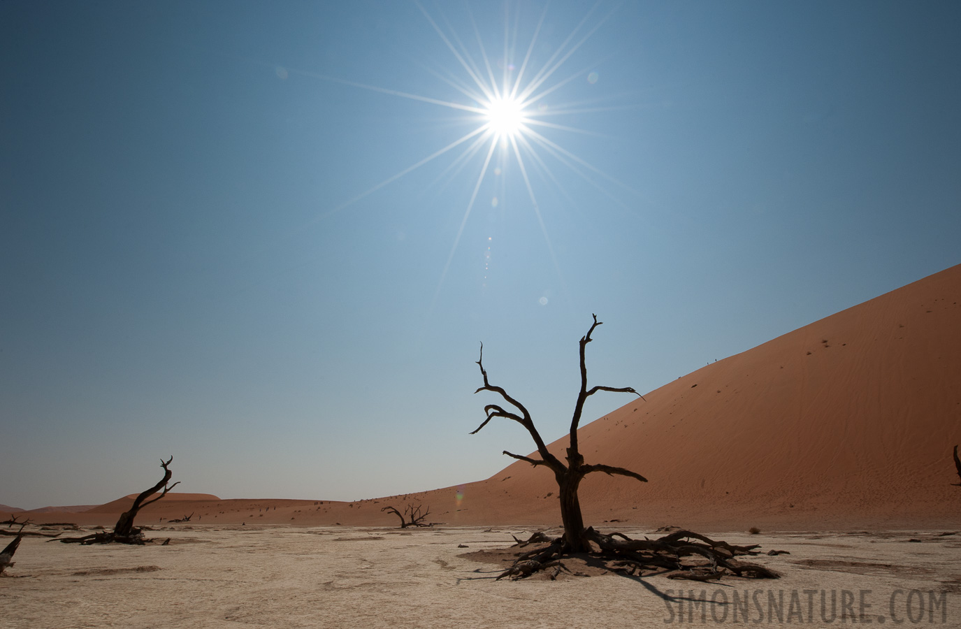 Namib-Naukluft National Park [14 mm, 1/640 sec at f / 22, ISO 400]